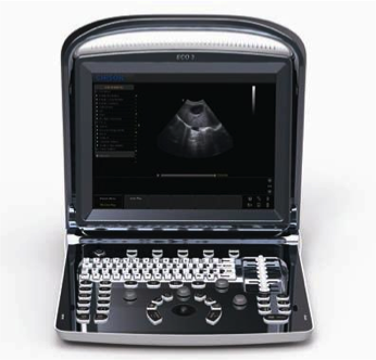 Veterinary Ultrasound