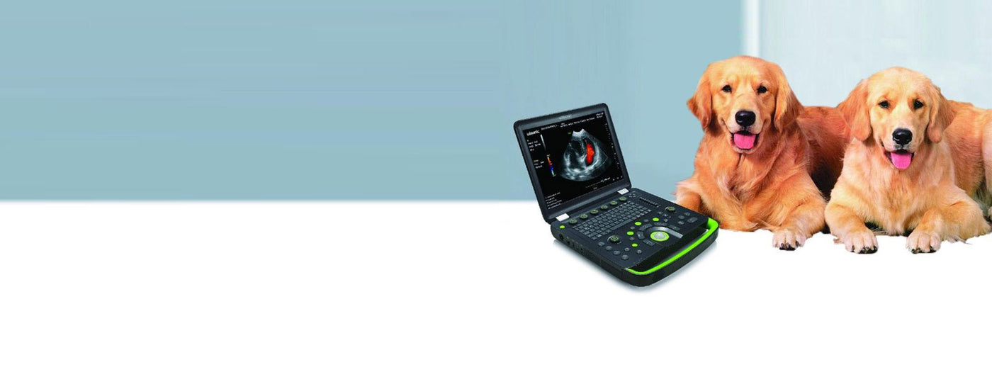 InterAktiv Vet are supplies of equipment to the veterinary practice, veterinary hospital, vets, veterinary, surgical tables, consult room tables, scales, pulse oximeters, stethoscopes, diagnostic instruments, surgical instruments, IV Pumps. Intravenous pu