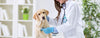 InterAktiv Vet are supplies of equipment to the veterinary practice, veterinary hospital, vets, veterinary, surgical tables, consult room tables, scales, pulse oximeters, stethoscopes, diagnostic instruments, surgical instruments, IV Pumps. Intravenous pu