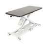 InterAktiv Veterinary Electric Height Adjustable Consult Table - InterAktiv Health