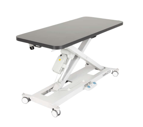 InterAktiv Veterinary Electric Height Adjustable Consult Table