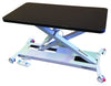 InterAktiv Veterinary Electric Height Adjustable Consult Table - InterAktiv Health