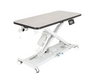 InterAktiv Veterinary Height Adjustable Consult Table with Weighing Scales - InterAktiv Health