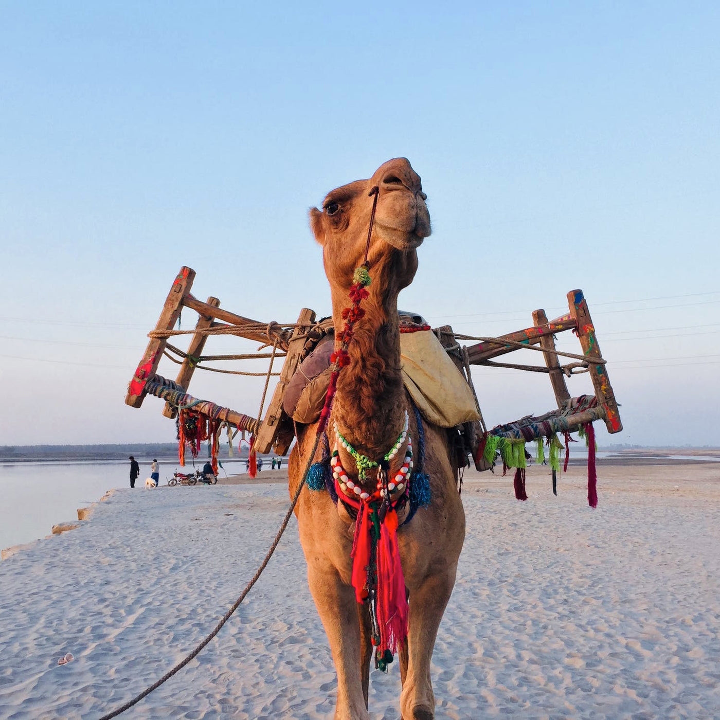 InterAktiv Vet are supplies of equipment to the veterinary practice, veterinary hospital, vets, veterinary, surgical tables, consult room tables, scales, pulse oximeters, stethoscopes, diagnostic instruments, surgical instruments, IV Pumps. Intravenous pu