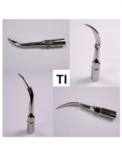 Dental Scaler Replacement Tip, Ultrasonic P5 accessories T1 scaler tip - InterAktiv Vet