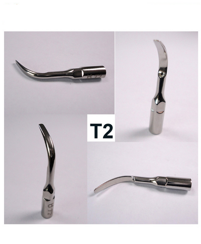 Dental Scaler Replacement Tip, Ultrasonic P5 accessories T2 scaler tip - InterAktiv Vet