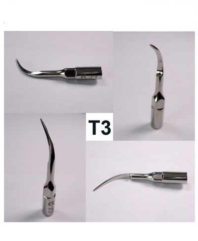 Dental Scaler Replacement Tip, Ultrasonic P5 accessories T3 scaler tip - InterAktiv Vet