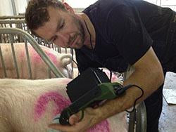 KAIXIN RKU10 PREGNANCY TEST ULTRASOUND, production ultrasound, equine, bovine, swine, back fat ultrasound