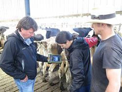 kaixin KX5200V veterinary ultrasound, production ultrasound, equine, bovine, canine, swine, feline, goat, Llama ultrasound scan, animal ultrasound, pregnancy testing