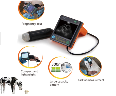 msu3 veterinary ultrasound, black & white veterinary ultrasound, animal pregnancy testing ultrasound, preproduction testing ultrasound, dog, cat, canine,, feline, swine, pig, cow, bovine, ovione, sheep, goat, alpaca, llama