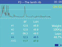 msu3 veterinary ultrasound, black & white veterinary ultrasound, animal pregnancy testing ultrasound, preproduction testing ultrasound, dog, cat, canine,, feline, swine, pig, cow, bovine, ovione, sheep, goat, alpaca, llama, back fat testing