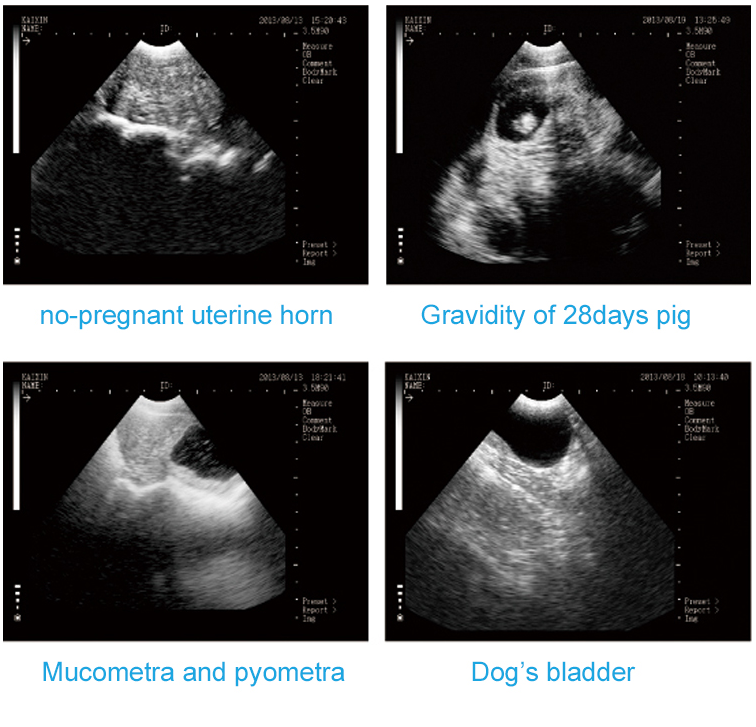 msu3 veterinary ultrasound, black & white veterinary ultrasound, animal pregnancy testing ultrasound, preproduction testing ultrasound, dog, cat, canine,, feline, swine, pig, cow, bovine, ovione, sheep, goat, alpaca, llama