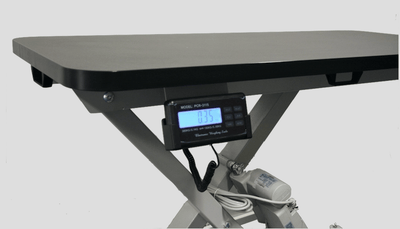InterAktiv Veterinary Height Adjustable Treatment Table with Weighing Scales