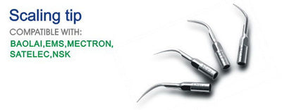 Dental Scaler Replacement Tip, Ultrasonic P5 accessories T4 scaler tip - InterAktiv Vet