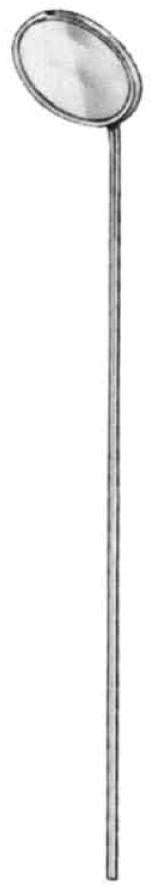 Probes, Laryngeal Mirror without Handle - InterAktiv Vet