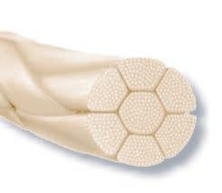 Sutures, Surgicryl Rapid, Absorbable-SURGICRYL-InterAktiv Health